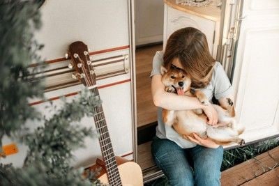 抱っこされる柴犬