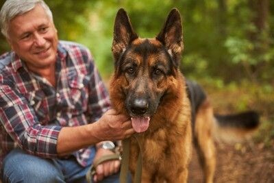 飼い主と犬
