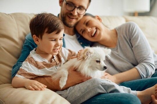 犬を飼い始めたばかりの人がやりがちな『タブー行為』4つ　初日に必ずやるべき準備とは？