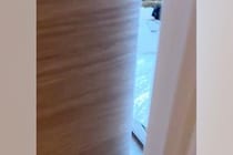 『仕事、がんばるぞ』と部屋に入った結果→犬と猫がゴロゴロしていて…仕事できるわけがない光景が53万再生「ぬいぐるみかとｗ」「混ざりたい」
