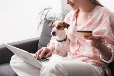 犬を膝に乗せてパソコンを操作する女性