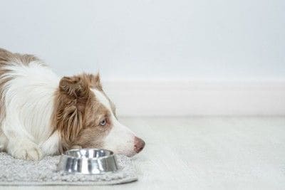 食器の横に伏せる