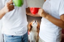 犬が『嫉妬』しているときにみせる行動6選　どんなことにヤキモチを焼いてしまうの？