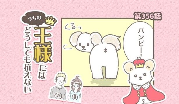うちの王様にはどうしても抗えない【第356話】「撮りにくいポーズ」