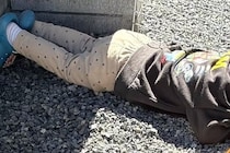 『3歳の息子がどこかへ行った』と探した結果→3秒後に発見し、なぜか犬と一緒に…予想外な『尊い光景』に2万いいね「会議してる？」「素敵」