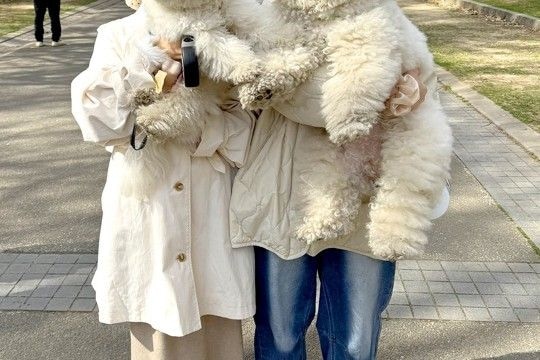 2匹の犬を抱っこして『記念撮影』をした結果→脳がバグる『奇跡の1枚』に3万いいね集まる「完全に錯覚起こしたｗｗ」「絶対AIだと思った」