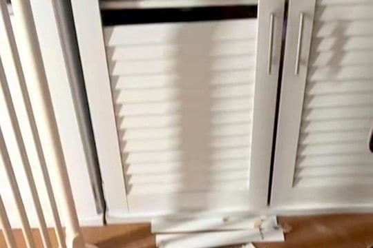 『なにやら玄関で音がするな』と思い見に行った結果→大型犬が『靴箱』を…まさかの光景に反響「見やすくしてくれたんだよねｗ」「楽しそうで草」