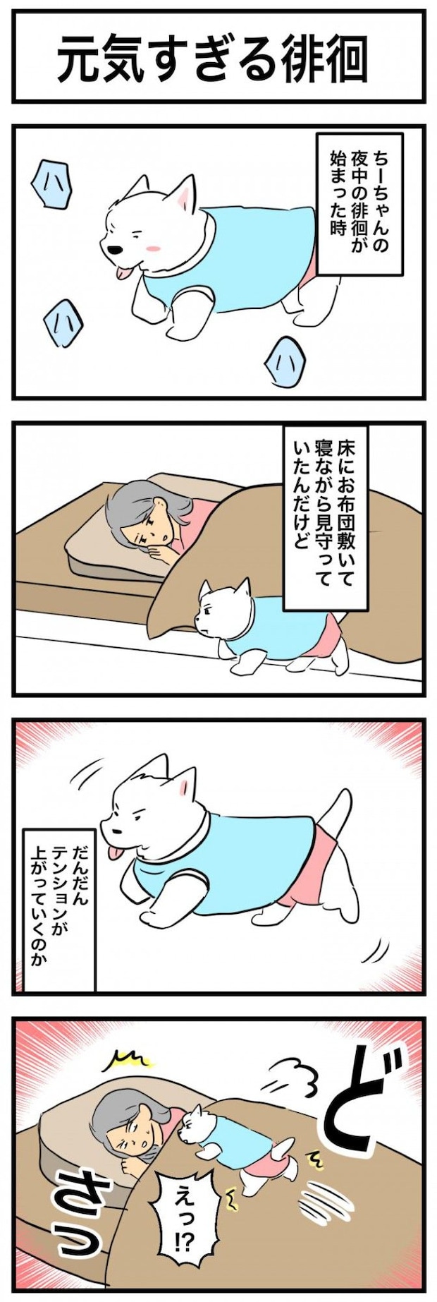 ちーちゃんですけどもっ【第361話】　1