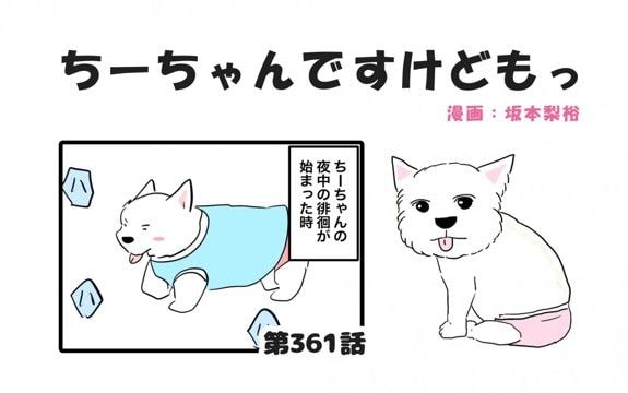 ちーちゃんですけどもっ【第361話】「元気すぎる徘徊」
