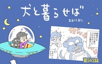 犬と暮らせば【第542話】「エマの回復」