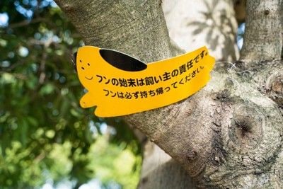 犬の散歩マナーに関する注意喚起