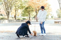 『モラルがない』と思われる犬の飼い主の行動５選　周りから軽蔑される絶対NG行為とは
