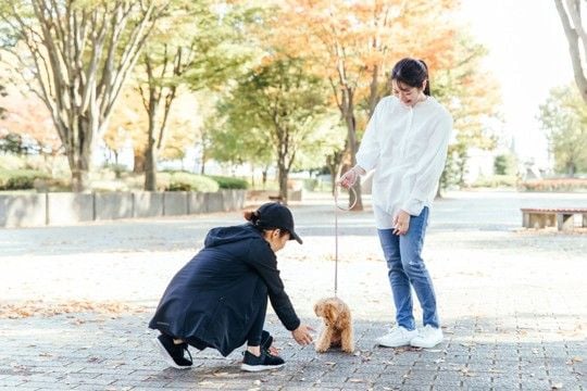 『モラルがない』と思われる犬の飼い主の行動５選　周りから軽蔑される絶対NG行為とは