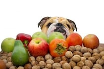 犬が食べていい果物！与える際の注意点や食べてはいけないものも解説