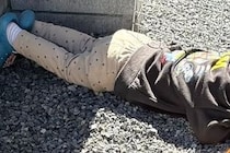 『3歳の息子がどこかへ行った』と探した結果→3秒後に発見し、なぜか犬と一緒に…予想外な『尊い光景』に2万いいね「会議してる？」「素敵」