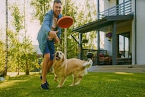 犬と『遊びすぎる』リスクとは？愛犬の体にかかる負担や遊び方のポイントまで