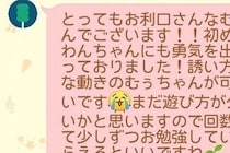 保育園に初登園した子犬→先生からLINEで届いた『中間報告』が泣けると230万表示「なんか涙出てきた…」「独特な誘い方の動きｗ」と反響
