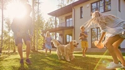 家族と庭で遊ぶ大型犬