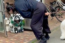 病院が大嫌いな超大型犬→ドアを開けようとした瞬間、ビビってしまい…コントのような『まさかの光景』が74万再生「必死ｗｗ」「フェイント草」
