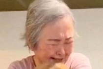 15歳の愛犬を亡くし、悲しむおばあちゃん→『そっくりなぬいぐるみ』を贈ると…感動的な『涙の再会』が32万再生「美しい光景」「泣いちゃう」