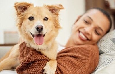 じゃれ合う犬と女性