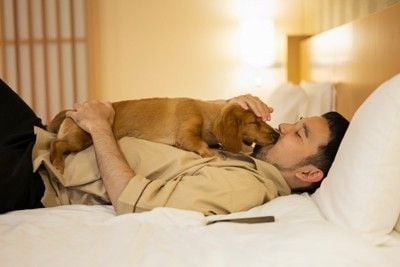 寄り添う犬