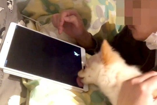 ゲームをする男性に『構ってほしい』と邪魔をする犬→絶対に集中できない『微笑ましい攻防戦』に反響「好き好き攻撃スゴいw」「嬉しさ隠せてない」