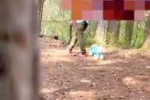 『ママっ子な犬』とドッグランへ→内緒で隠れてみたら『ママがいない』と気付いて…『発見した瞬間』が尊すぎると反響「愛おしい」「優しい子」
