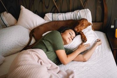 女性の枕元で眠る犬
