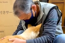 介護が必要な犬が『子犬の時に優しくしてくれたおじいちゃん』と再会した結果…あまりにも『感動的な光景』が6万再生「涙が出た」「愛伝わる」