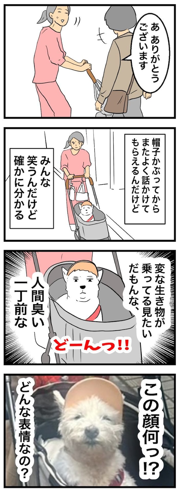ちーちゃんですけどもっ【第362話】　2