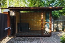 犬を『外飼いしてはいけない』理由6選　起こり得るトラブルや室内飼いのメリットまで