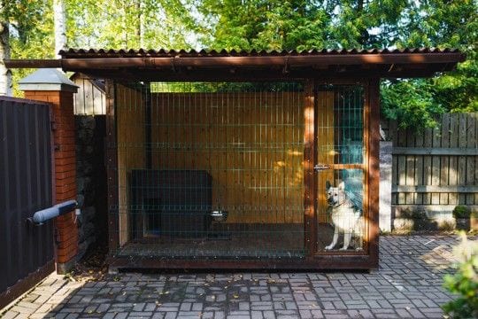 犬を『外飼いしてはいけない』理由6選　起こり得るトラブルや室内飼いのメリットまで