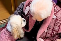 足腰の悪いおばあちゃんが『散歩に行こうと椅子から立った』結果→犬が心配をして…尊すぎる『ボディガード』の光景に称賛「相棒だ」「お利口」