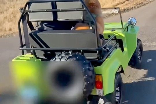 乗り物が大好きな犬に、サプライズで『本物の車』を買った結果→乗せてみると…愛おしすぎる光景が77万再生「駄々こねてて笑うw」「嬉しそう」