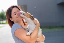 犬が『執拗に顔を舐めてくる』心理5選　放っておいて大丈夫？しつこい場合の適切な対応まで