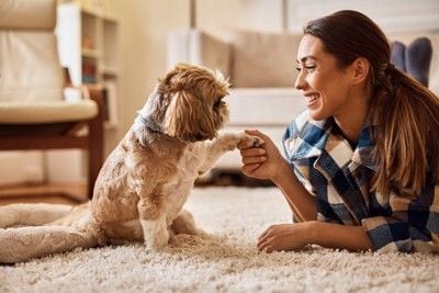 女性と犬