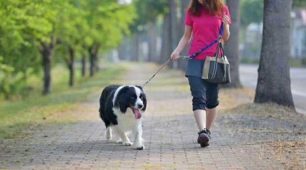犬に絶対NGな『リードの持ち方』５選　重大な事故やケガを引き起こすタブー行為まで