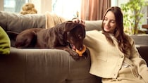 犬が『新しいモノ』を嫌がる心理５選　ベッドやおもちゃを与えても使ってくれない理由とは？