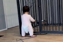 体重差が50キロもある『小さな女の子と超大型犬』→心配でいつも様子を見ていて…『相思相愛な光景』に反響「優しいお兄ちゃん」「仲良し」