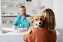 『病院が苦手な犬』がみせる行動５選　嫌いになってしまう原因やポジティブな印象をもってもらうためにできることまで