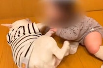 同じ大きさだった『小さな女の子と犬』が一緒に育った結果…5年後→微笑ましすぎる『成長の記録』に「愛おしい…」「可愛いやりとり」と絶賛の声