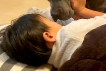 風邪を引いてしまった男の子→なかなか寝付けずにいたら、犬が近づいてきて…愛しかない光景が18万再生「なんてお利口さん」「家族愛だね」