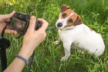 犬が『カメラ』を嫌がる心理5つ　考えられる理由や愛犬を撮影する際の注意点まで