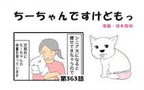 ちーちゃんですけどもっ【第363話】「シニア犬は太りにくいのに」