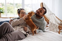 犬が『友達だと思っている人』にみせる行動5選　仲間だと認識しているときにみせるサインとは？