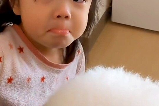 朝、3歳の女の子が『寝ている犬を起こそうとした』結果→反応がなく『死んでしまった』と勘違いして…愛に溢れた光景が52万再生「演技派ｗ」