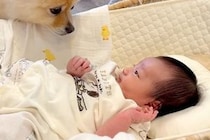 生まれたばかりの赤ちゃん→心配した犬が、いつもそばで見守っていて…尊すぎる『過保護な光景』が30万再生「涙が出た…素敵」「大好きなんだ」