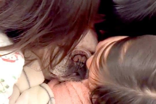 子供たちに囲まれた犬→妹がキスをしたら…愛されすぎた犬の『無を極めた表情』に幸せがあふれていると22万再生「優しい顔」「愛されワンコ」