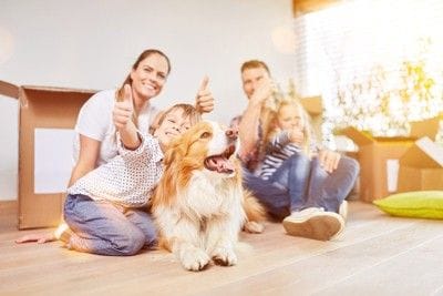 人家族と犬